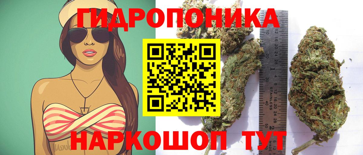 Бошки Шишки OG Kush Алейск